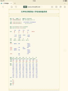 丁亥八字分析