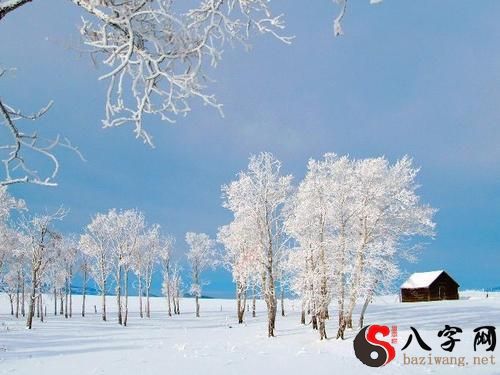 梦见满地都是雪